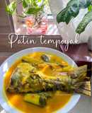 Patin tempoyak