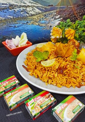 A picture of Chicken biryani.