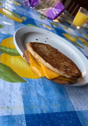 Una foto de Tostado