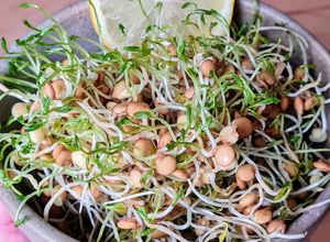 Una foto de Brotes de lentejas al limón 🌱🍋 Germinado de lentejas alimonadas 🌱 🍋