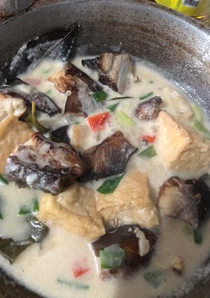 Foto resep Ikan cucut santan