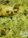 Sayur bangun bangun (ASI booster)