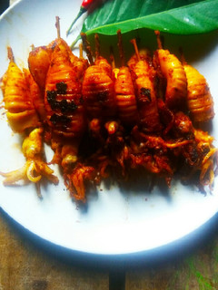 Foto resep Cumi bakar pedas manis