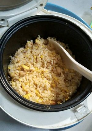 Foto resep Nasi Goreng (Magic Com)