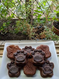 巧克力蛋糕 的食譜成品照片