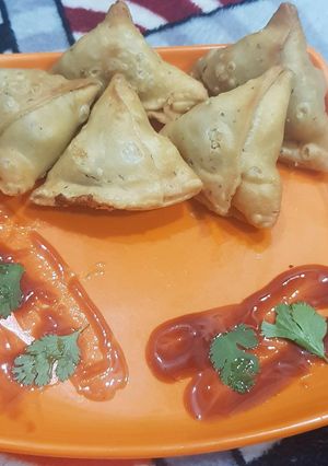 A picture of SamosA.