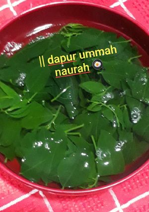 Foto resep Sayur Bening Katuk