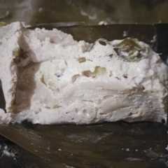 รูปของ Pepes Jamur Tahu