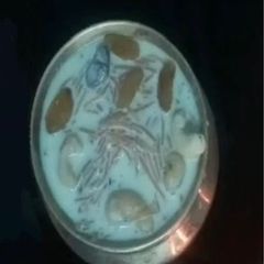 A picture of Semiya (Vermicelli) Payasam.