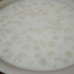 A picture of Sabudana kheer.