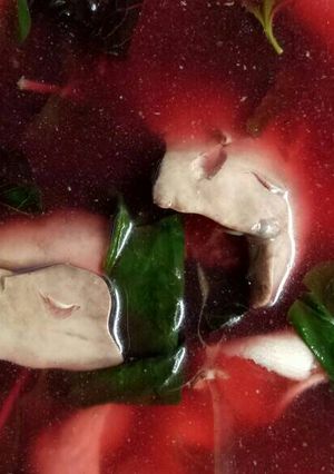Foto resep Sayur bening bayam merah hati ayam