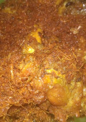 Foto resep Ayam Goreng Laos
