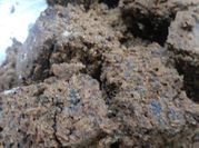 Una foto de budin de harina de almendra