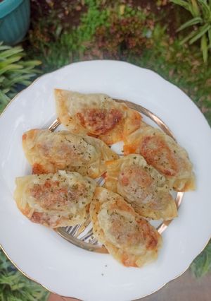 Foto resep Beef gyoza