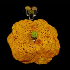 A picture of Methi Masala Khakhra.