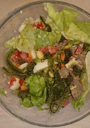 Hình của món Salad 🥗.