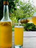 Bia gừng mật ong vị dứa siêu dễ siêu ngon (ginger beer with pineapple)