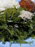 Urap Latoh Bumbu Lengkuas DaMuDza