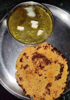 पालक पनीर(palak paneer recipe in hindi) रेसिपी मुख्य फोटो