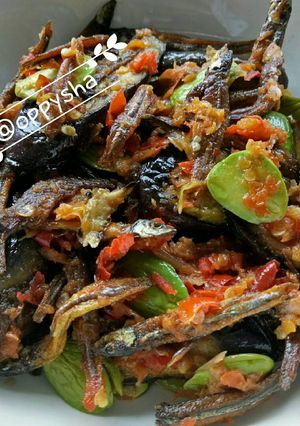 Foto resep Terong Ikan Asin Balado Sambal Ebi Petai Pedeeeesss