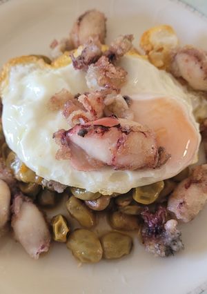 Una foto de Habitas en conserva con chipirones, cebolla y tomate confitado y huevo frito para rematar el plato