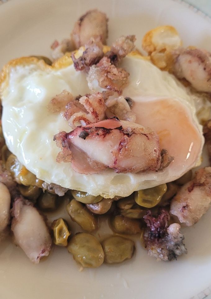 Una foto de Habitas en conserva con chipirones, cebolla y tomate confitado y huevo frito para rematar el plato