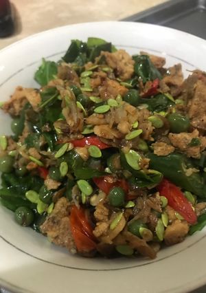 Foto resep Tumis oncom rebon petai cina