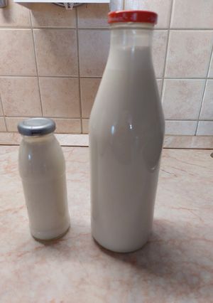 Habosítható növényi tej recept fotója