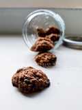 Gluten-free Double Chocolate Oatmeal Soft Cookies