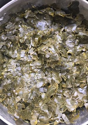A picture of Locally made moringa salad.