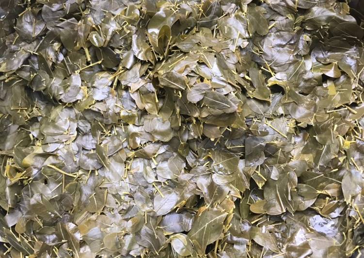How to Make Favorite Locally made moringa salad Cooking Basics for Beginners