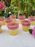 Panacota tres sabores
