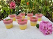 Una foto de gelatina cremosa de mango