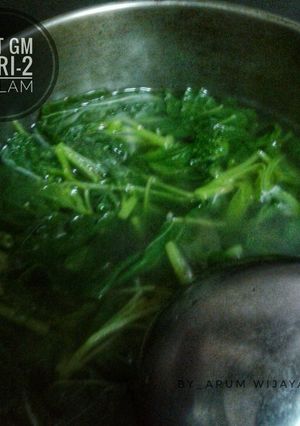 Foto resep Sayur kuah bayam (Diet GM-2) Malam