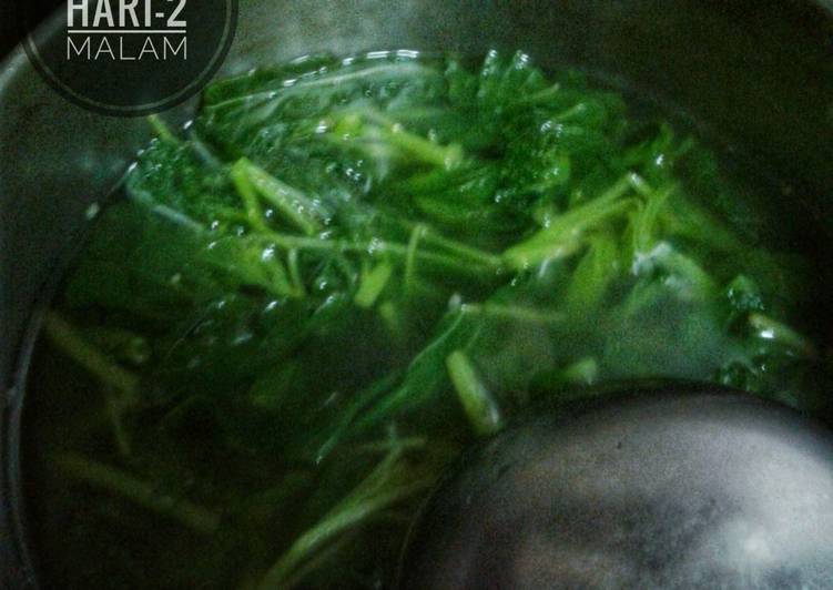 Sayur kuah bayam (Diet GM-2) Malam