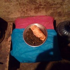 A picture of Spinach + kanjera.