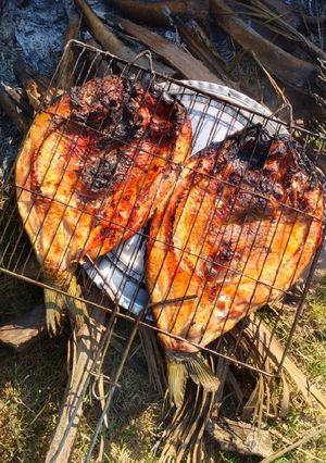 عکسی از دستور ✰★ماهی کبابی🐟🍛★✰