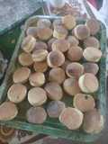 MANZINI scones