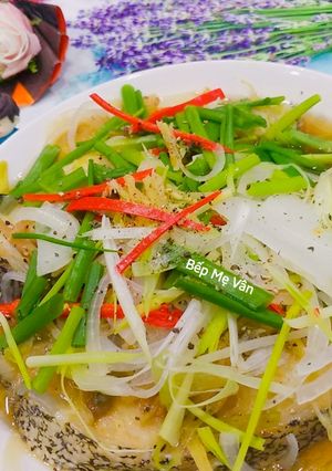 Hình của món Cá mú hấp hành,gừng,xì dầu và dầu hào.