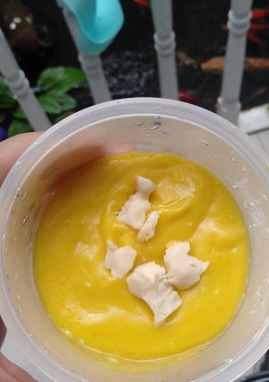 Foto resep MPASI 7 BULAN : (SELINGAN) BUTTERNUT SQUASH  PORRIDGE
