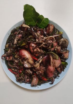 Foto resep Tumis Cumi Hitam