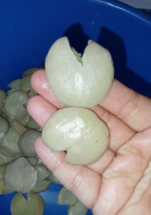 Foto resep Mengurangi bauk jengkol yg menyengat