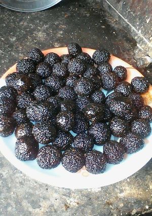 काले तिल के लड्डू (Black til ke ladoo recipe in hindi) रेसिपी मुख्य फोटो