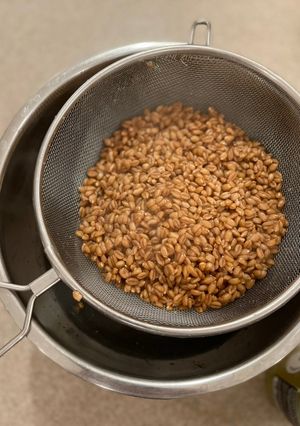 A picture of How to cook spelt, or farro.