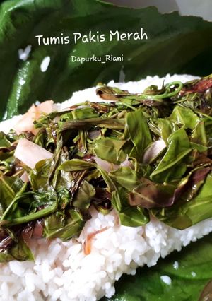 Foto resep 78. Tumis Pakis Merah