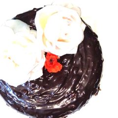 Chocolate ganache cake A picture of Chocolate ganache cake.