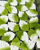 Rau câu lá dứa cốt sữa dừa