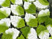 Hình ảnh của rau cau đãi tiệc