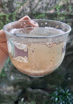 Foto resep Minuman Diet Tiap Pagi
