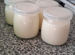 Una foto de Yogur Casero con o sin yogurtera!